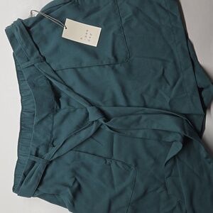 NWT! A New DAY Dress shorts!